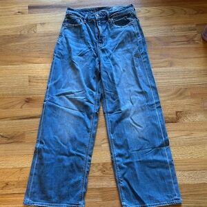 American Eagle dreamy drape baggy wide leg